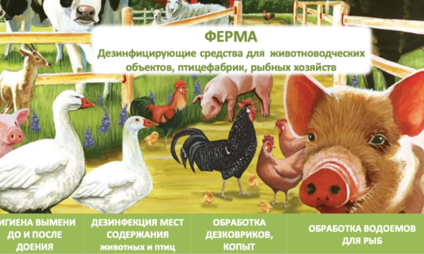 Дезинфицирующее средство ФЕРМА для мест содержания животных